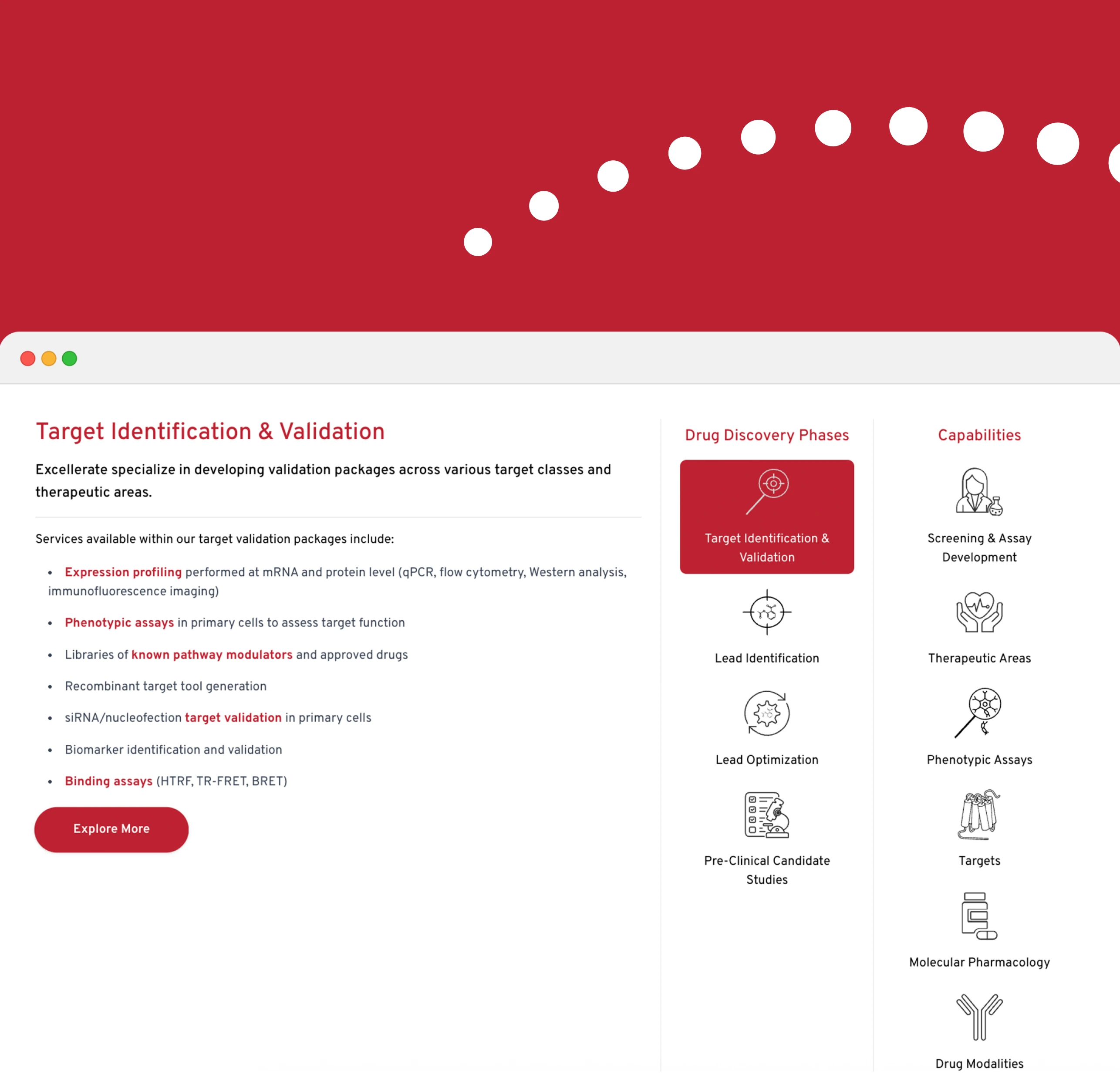 Excellerate Bioscience website by 628.